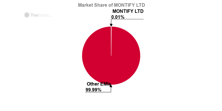MONTIFY LTD Market Share