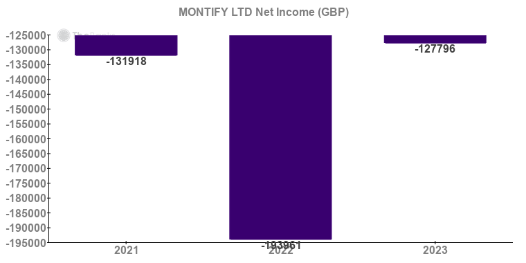 MONTIFY LTD Net Income