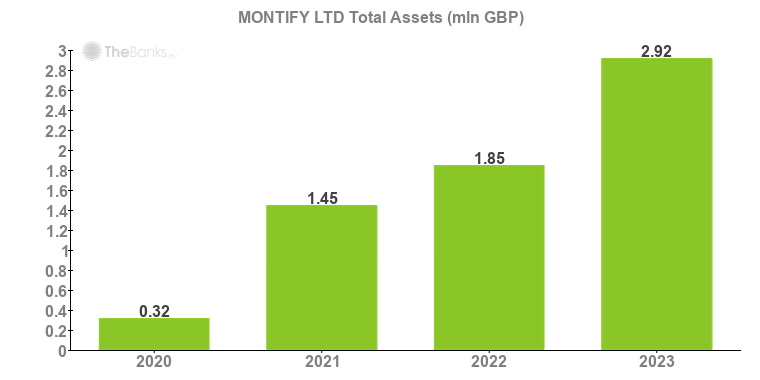 MONTIFY LTD Total Assets