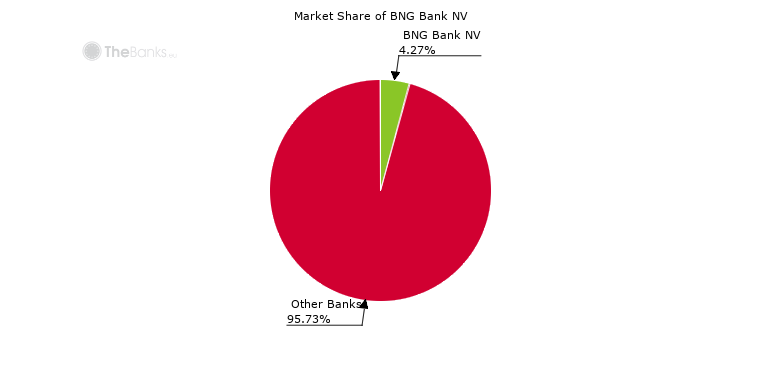 Bng Bank Nv (netherlands) - Market Share