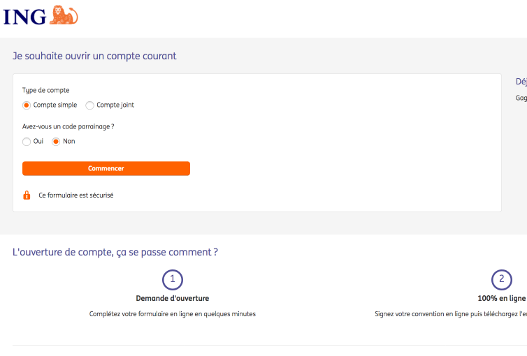 Ing Direct Nv France Bank Profile